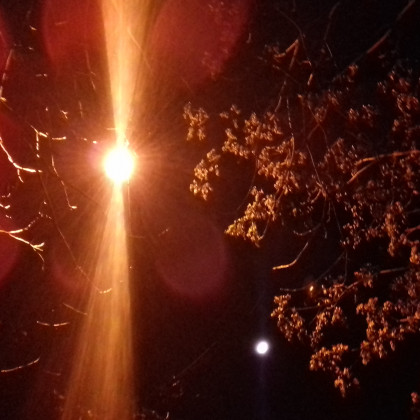 Seznam skladb za 19. 5. 2024, 14.00–18.00 (Nina Zajc)