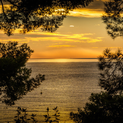 Slika prikazuje morje in nebo ob sončnem zahodu. Sliko obrobljajo zatemnjeni obrisi dreves.