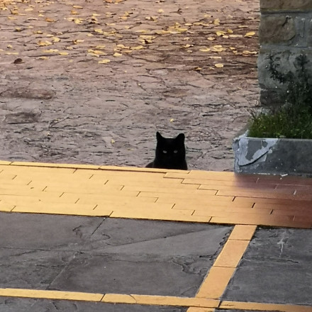 Seznam skladb za 18. 12. 2024, 11.00–15.00 (Luka Bevk)