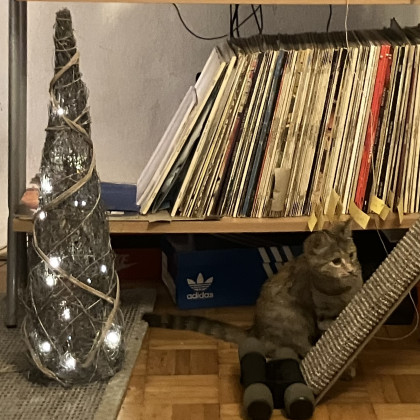 Seznam skladb za 23. 12. 2024, 15.00–19.00 (Pia Štarkl)