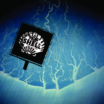 Zasaditev Shella v delto reke Niger