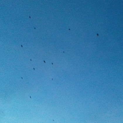 Seznam skladb za 25. 2. 2025, 7.00–11.00 (Nina Zajc)