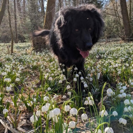 Seznam skladb za 31. 3. 2025, 7.00–11.00 (Nika Štrus)