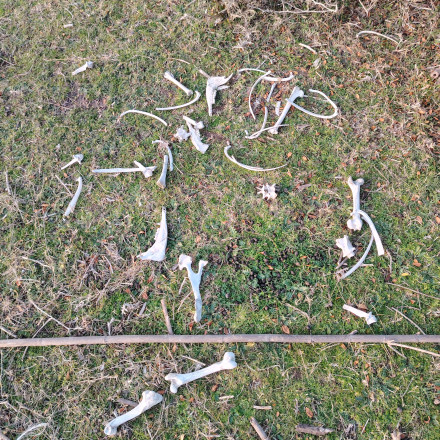 Seznam skladb za 28. 4. 2025, 7.00–11.00 (Luka Bevk)