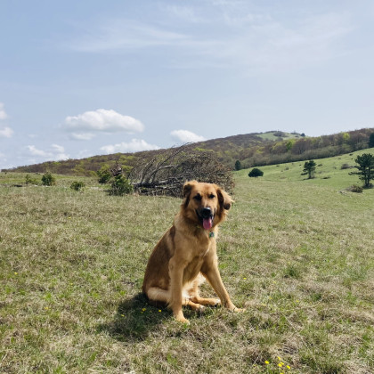 Seznam skladb za 24. 4. 2025, 7.00–11.00 (Hana Hunjet)