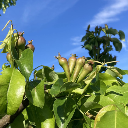 Seznam skladb za 27. 5. 2025, 14.00–18.00 (Hana Hunjet)