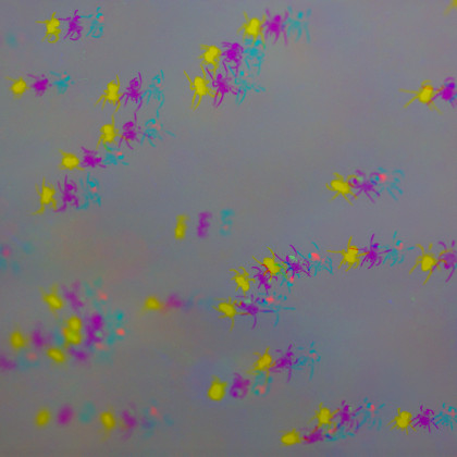 zaglitchana slika pajkov