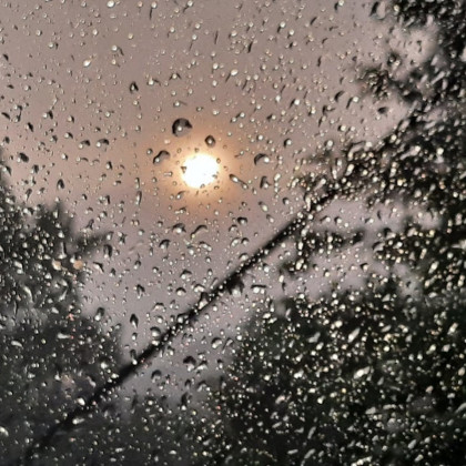 Ridota: Brez zrnja v plevelu