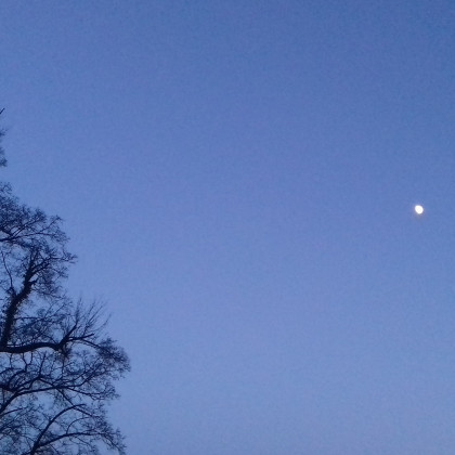 Seznam skladb za 31. 8. 2025, 14.00–18.00 (Nina Zajc)