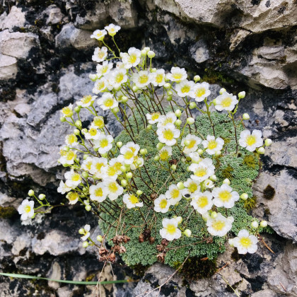 Seznam skladb za 15. 8. 2025, 11.00–14.00 (Hana Hunjet)