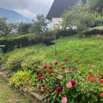 Seznam skladb za 3. 9. 2025, 14.00–18.00 (Nika Štrus)