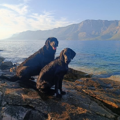 Seznam skladb, 23. 10. 2025 (7.00–11.00)