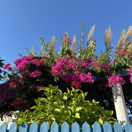 Seznam skladb za 6. 10. 2025, 7.00–11.00