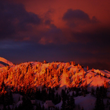 Seznam skladb za 1. 12. 2025, 7.00–11.00 (Nina Zajc)