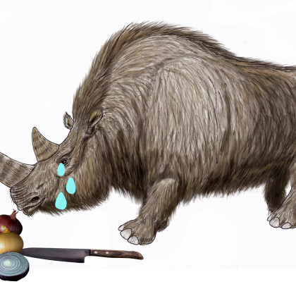 Dlakavi nosorog toči solze zaradi rezanja čebule