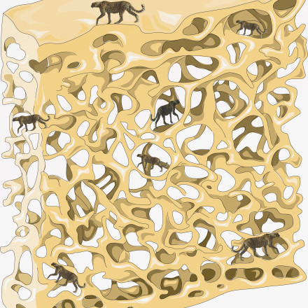 Gepardi, ki se izgubljajo v medkostnih jamicah