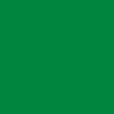Anima Afra 156