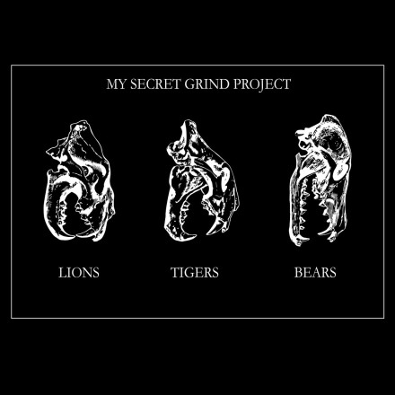 My Secret Grind Project – Lions