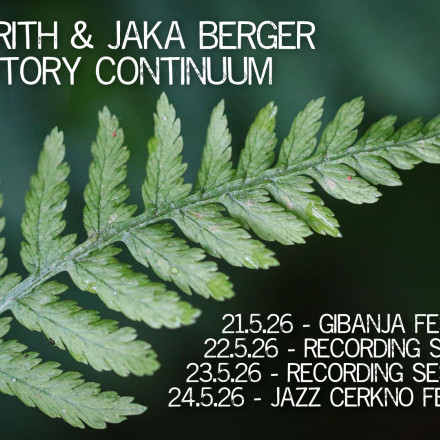 Fred Frith & Jaka Berger: Auditory Continuum