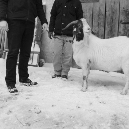 Klubski maraton 2012: The Kojn v živo na Radiu Študent