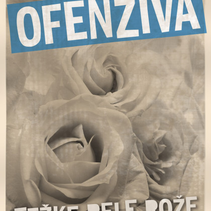 Via Ofenziva - Bele rože