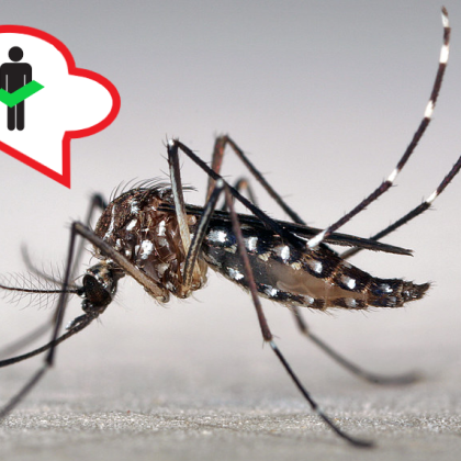 Four legs good, two legs tastier