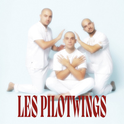 The Pilotwings
