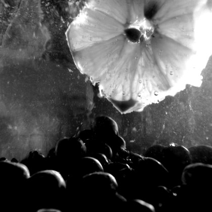 Seznam skladb za 29. 8. 2023, 15.00–19.00 (Mitja Hlupič)