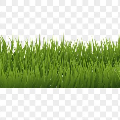 aveš trava, zeleno,, pa to hehe. bl zelene rizle mislu drgač 