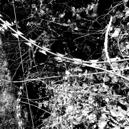 Seznam skladb za 9. 10. 2023, 15.00–19.00 (Mitja Hlupič)