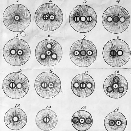 science and some shit bruv 