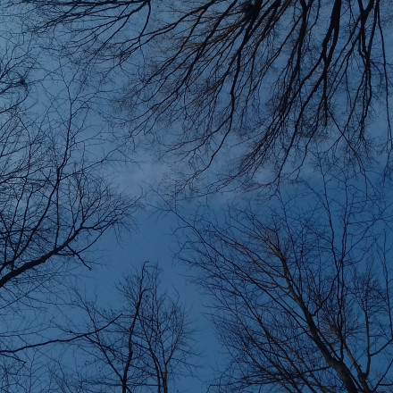 Seznam skladb za 2. 11. 2023, 7.00–11.00 (Nina Zajc)