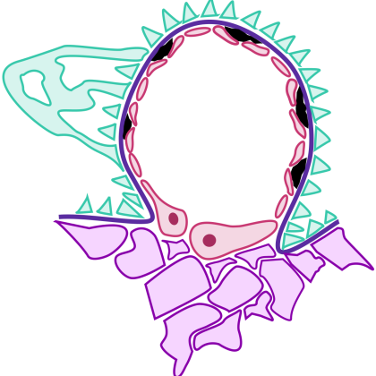 sle sle sle sle de ći 