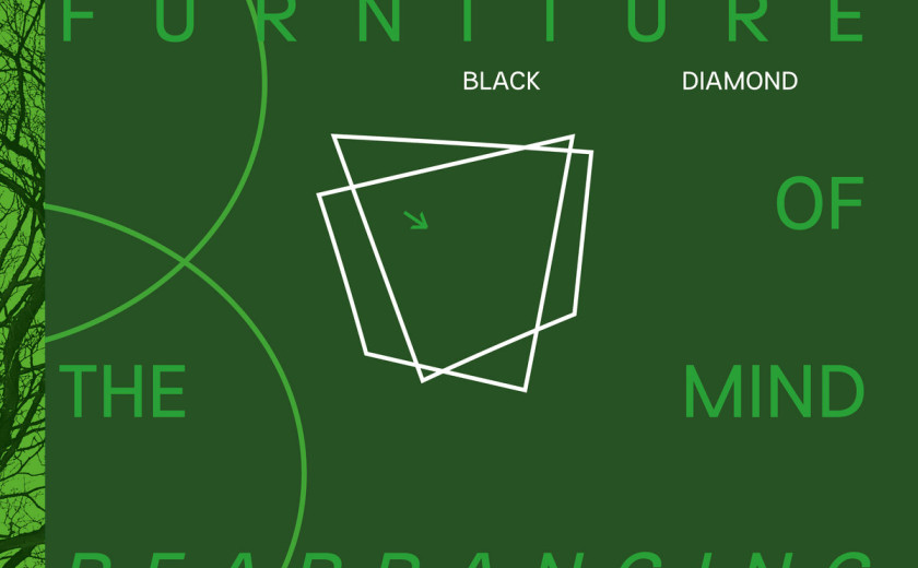 Black Diamond – Carrying the Stick