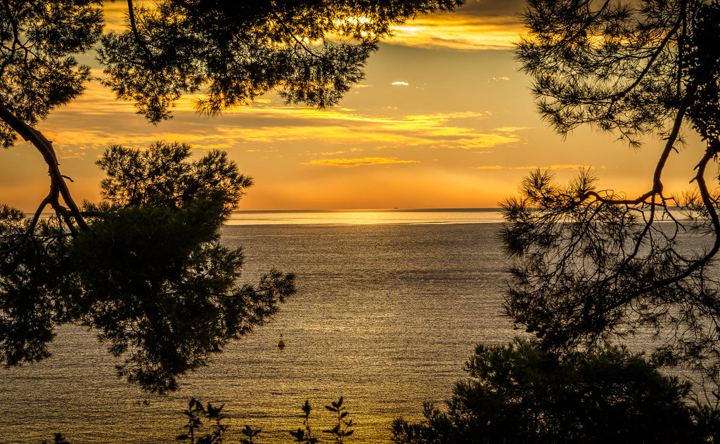 Slika prikazuje morje in nebo ob sončnem zahodu. Sliko obrobljajo zatemnjeni obrisi dreves.