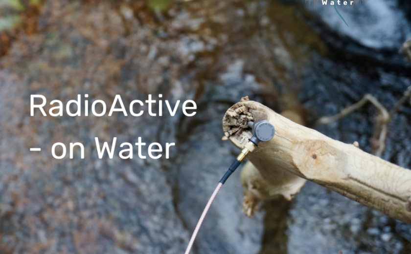 Kontaktni mikrofon na palici v gozdu