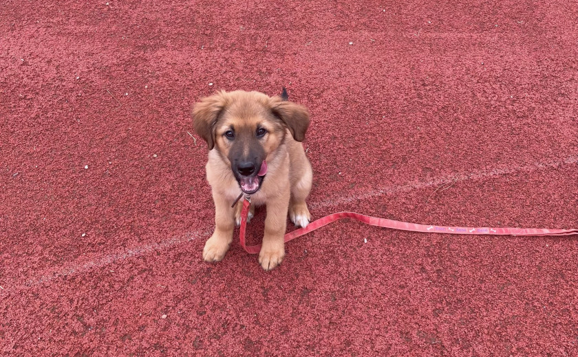 Seznam skladb za 2. 7. 2024, 15.00–19.00 (Hana Hunjet)