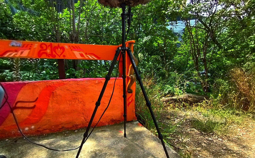 Mikrofon, oblečen v protivetrno zaščito in namontiran na tripodu, stoji na vrtu.