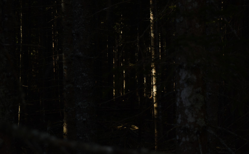 Seznam skladb za 19. 9. 2024 (11.00–15.00)