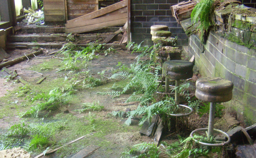 Vsak dan ob istem šanku...