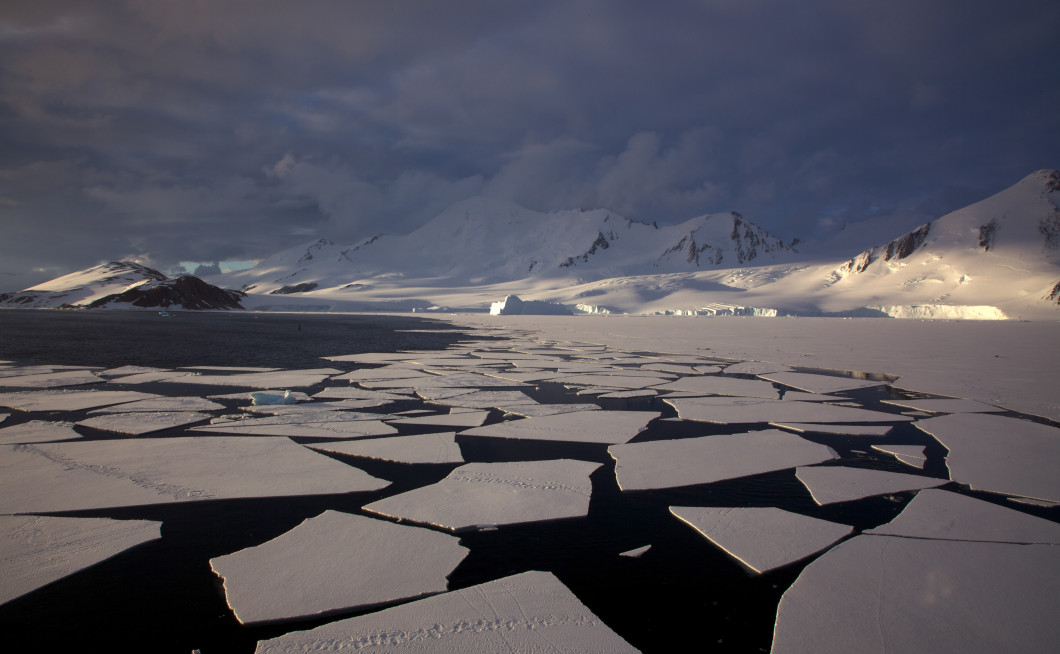 Ledene plošče v polarnem morju, v ozadju zasnežena pokrajina.