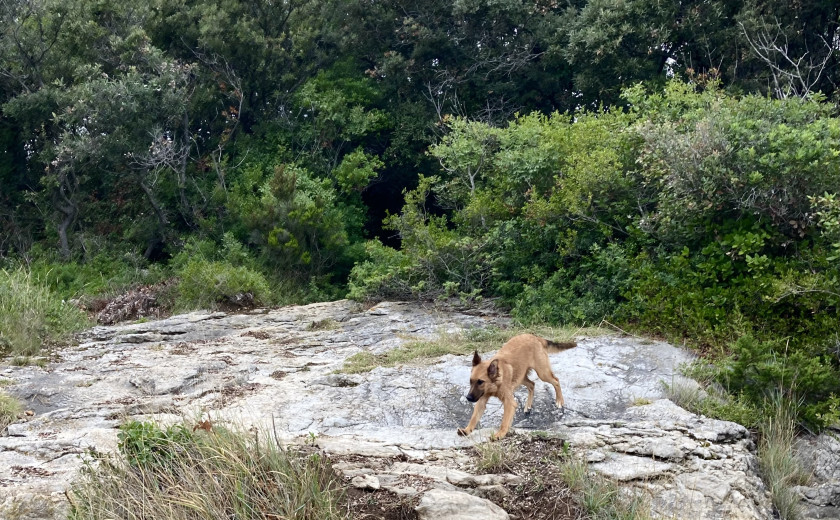 Seznam skladb za 8. 10. 2024, 12.00–15.00 (Hana Hunjet)