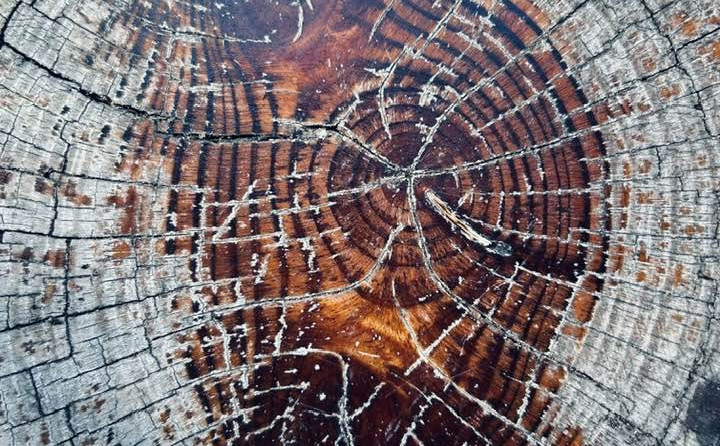 Seznam skladb za 12. 11. 2024, 15.00–19.00 (Nejc Suban)