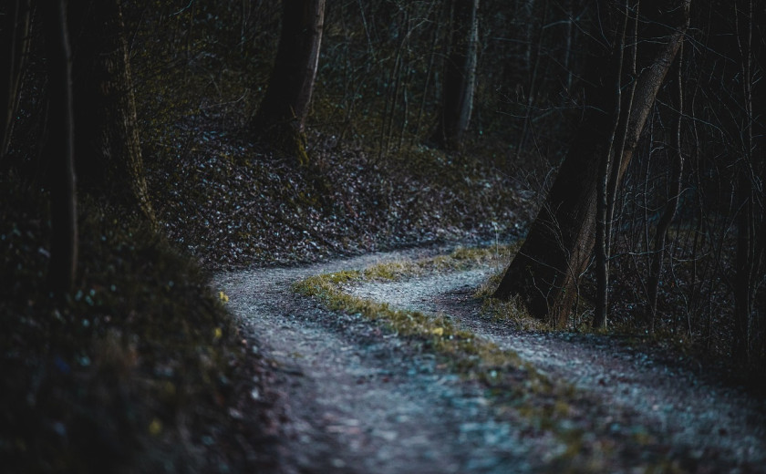 Seznam skladb za 9. 11. 2024, 14.00–18.00 (Samo Strel)