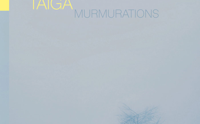 Štaiga: Murmurations