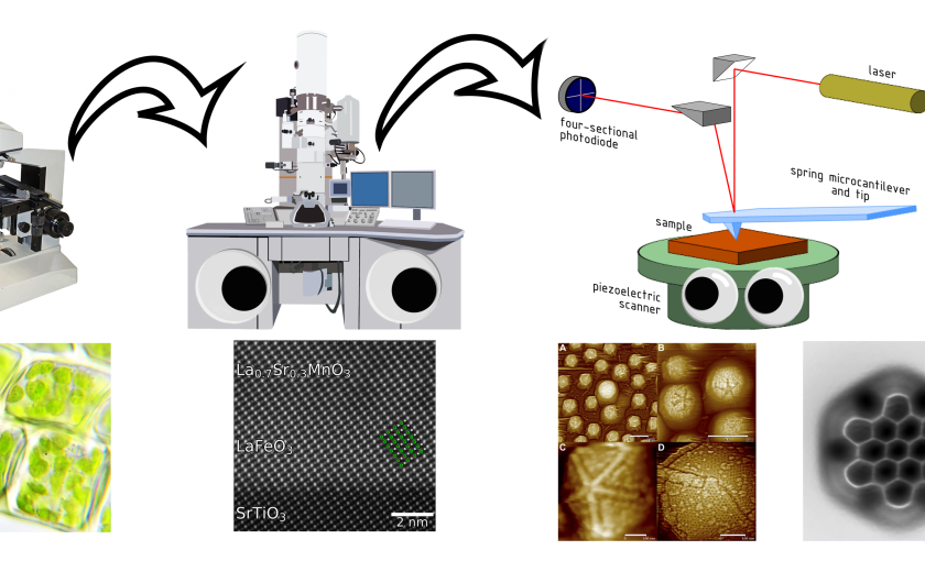 Optični, elektronski mikroskop in mikroskop na atomsko silo ter primeri slik, ki jih pridobimo s temi mikroskopi.