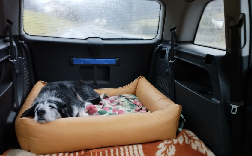 Seznam skladb za 29. 1. 2025, 7.00–11.00 (Enja Grabrijan)