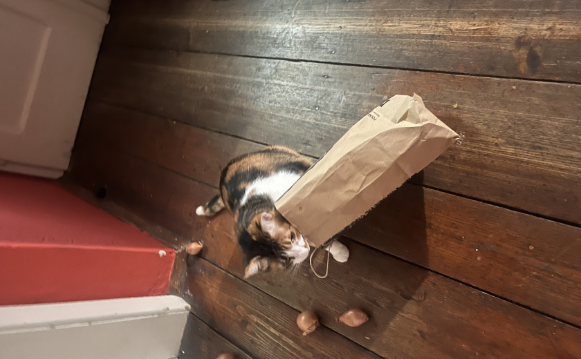 Seznam skladb za 13. 1. 2025, 7.00–11.00