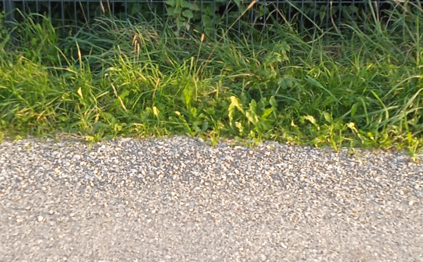 Seznam skladb za 13. 2. 2025, 7.00–11.00