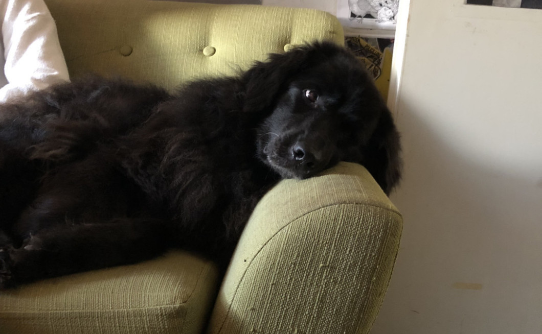 Seznam skladb za 10. 2. 2025, 14.00–18.00 (Nika Štrus)